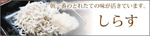しらす